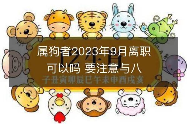 属狗29岁如何选择命理更佳，助你事业与生活双丰收！