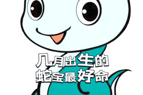 探究猴子的命理：蛇年出生的猴子与其他生肖的命运对比