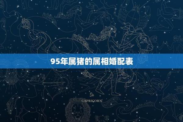 1995年猪年正月十六：探秘这一日的命运与象征