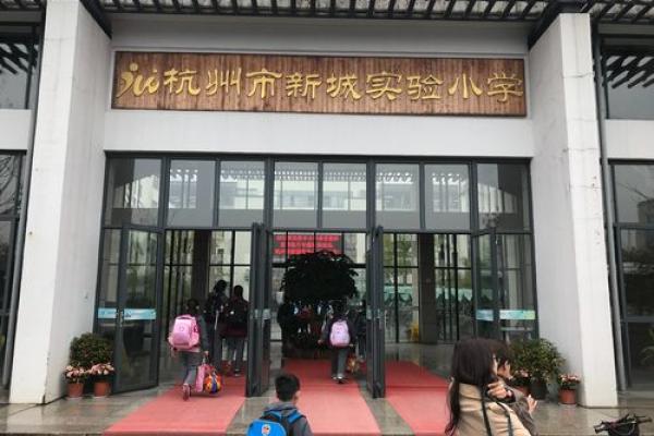 探寻命理智慧：从基础到深入的学习路线图