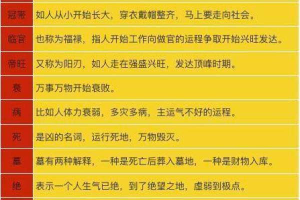 老板命理与企业成功的秘密：解析命理学如何影响商业决策
