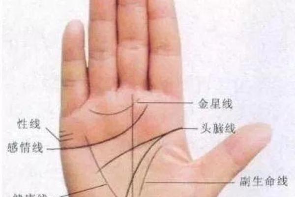 探讨女孩的富贵命：如何在生活中拥抱财富和幸福