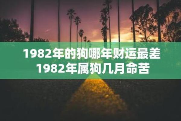 2006年属狗，狗年命运：探寻生肖与命理的奥秘