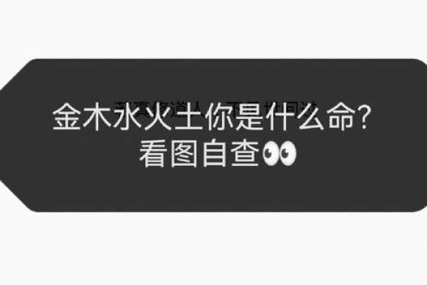 城头土命如何选择最适合的投资方向与生活方式