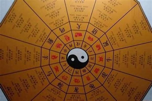 水命最忌讳的属相解析，助你理解命理与人生