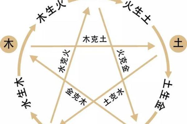 探索五行命理：1987年6月25日的命运解析与生活启示