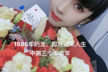 1988年出生的人：属龙命的魅力与人生轨迹