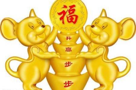 金命年如何把握机会，开启生活新篇章