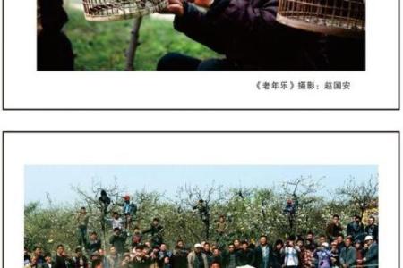 揭秘：70年腊月出生的人命运与性格分析