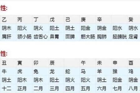 探索2017年生人的八字命理：命运与性格的完美结合