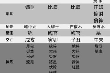 揭开命理之谜：癸酉、辛酉、己酉、丙子命的命运解析与人生启示