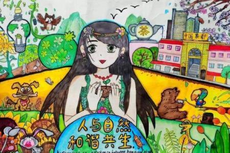 探索自然之美：人与环境的和谐共生