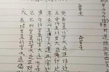 1995年2月2日出生的命理解析与人生启示
