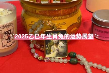 属兔人不同时辰运势分析，揭示命运秘密与生活建议