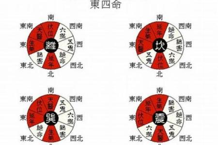 东四命与合财：探秘命理奥妙与财富关系！