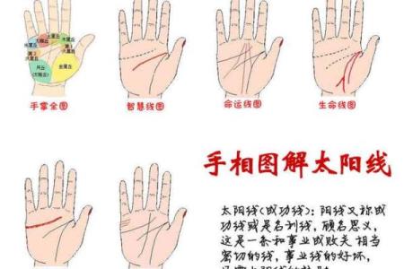 老板命理与企业成功的秘密：解析命理学如何影响商业决策