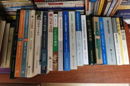 揭示狗与女人晚年命运的深层联系：生活哲学与智慧