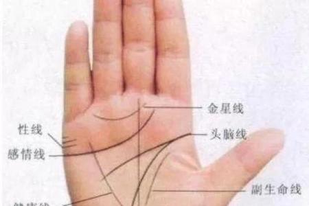探讨女孩的富贵命：如何在生活中拥抱财富和幸福