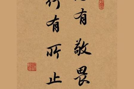 探索命运的微妙差异：神理一命与零命的深刻对比