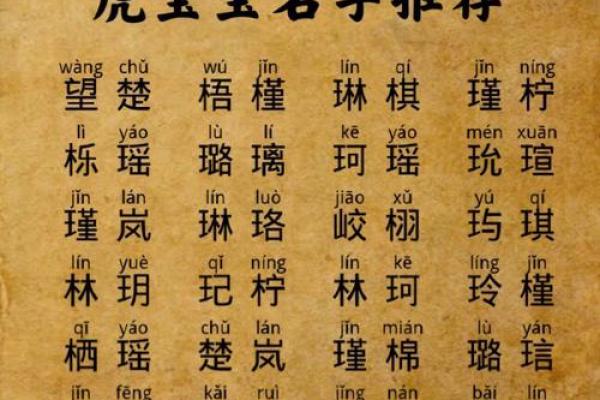 探秘2010年出生的虎年宝宝:命理与性格深度解析 探秘2010年出生的虎年宝宝:命理与性格深度解析