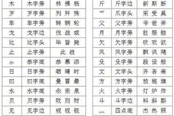 探寻汉字的奥秘：部首与命组词的迷人世界