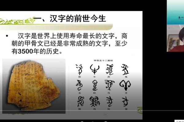 探寻汉字的奥秘：部首与命组词的迷人世界