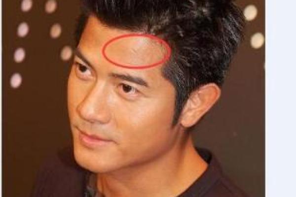 探秘富贵命:额头高的智慧与财富之道 探秘富贵命:额头高的智慧与财富之道