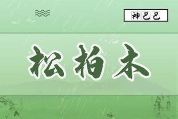 探索木命女性的职业之路：适合她们的行业全解析