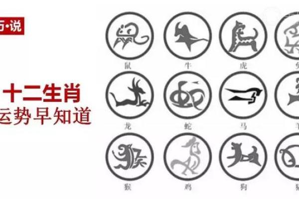 提升木命运势的衣服颜色选择指南！