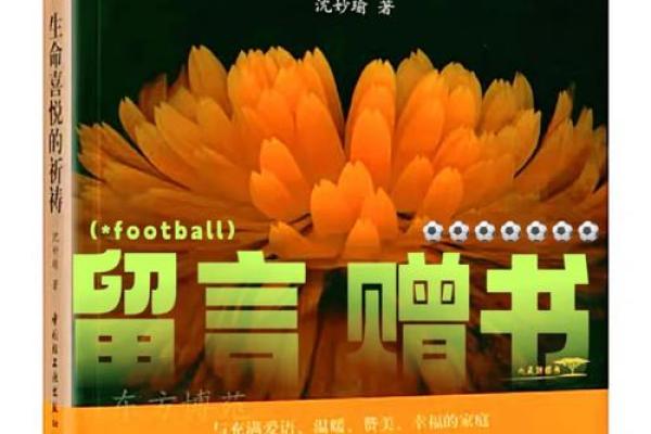 女人吃饭快是什么命？探究饮食习惯背后的生活哲学