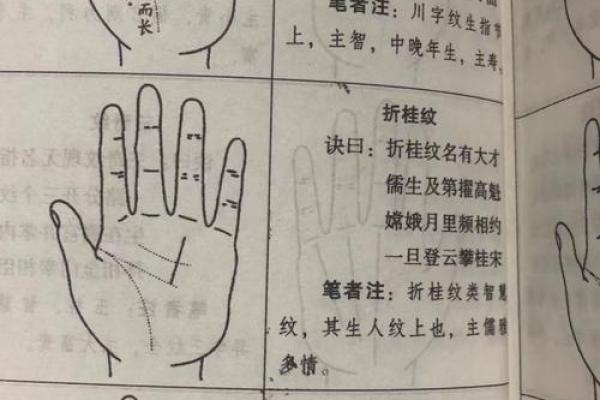 解析手指纹路，揭示人生命运的秘密