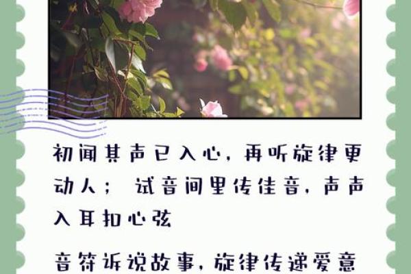 人生如歌，珍惜每一个音符的旋律与节拍