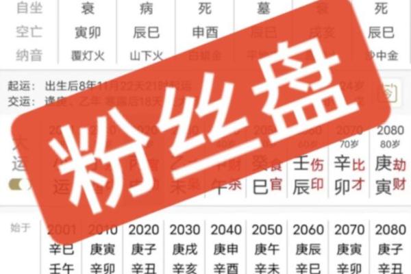探索命盘的奥秘：推荐几款解析命盘的实用APP