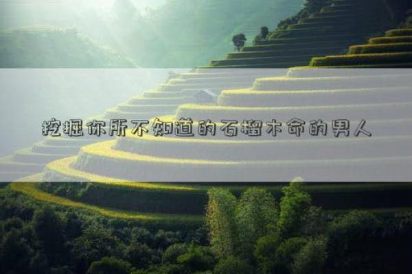 探索石榴木命的职业选择：适合你的行业与发展方向