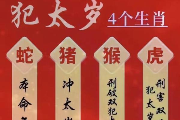 探秘1965年：生肖蛇的命运与运势解析