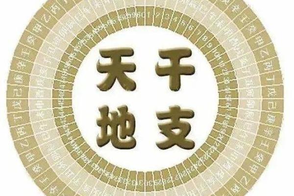 2024年生肖解析：龙年运势与命理深度探讨