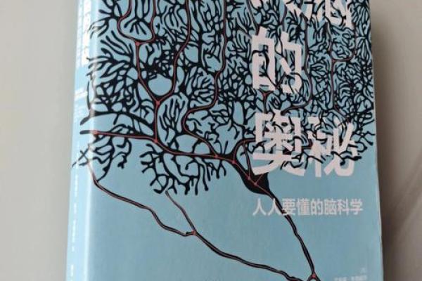胎身命与不胎身命的深刻解析：探索命运的奥秘与智慧