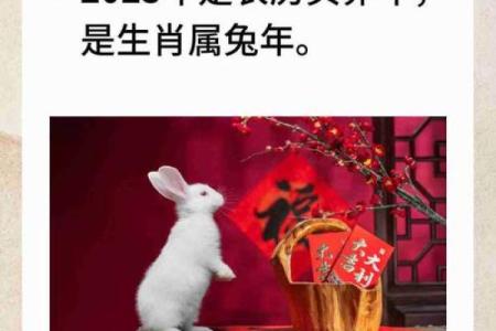 2003年出生的生肖与命理解析：揭开兔年的神秘面纱