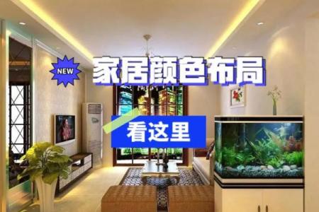 提升水命人运势，家居布局的秘密武器！