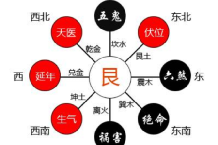 女金鼠命与男木龙命的完美结合：命理解析与婚姻幸福之道