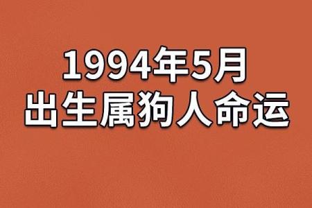 阴历冬月二十出生的人命运分析与生活建议