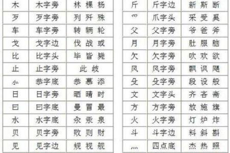 探寻汉字的奥秘：部首与命组词的迷人世界