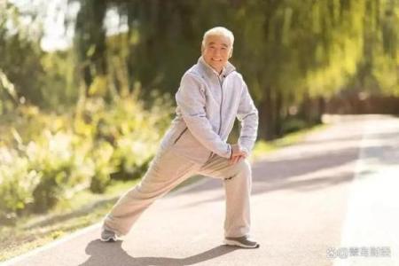 七零年属狗人的命运分析：如何把握人生机遇与挑战