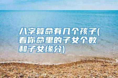 海底金命：命理与人生的深潜探索