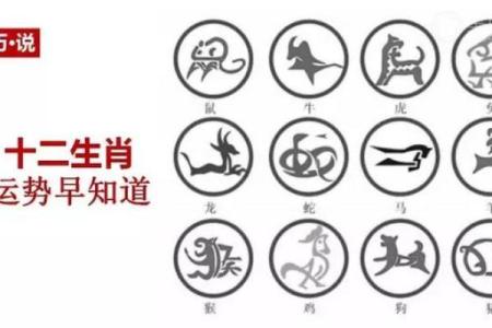 提升木命运势的衣服颜色选择指南！