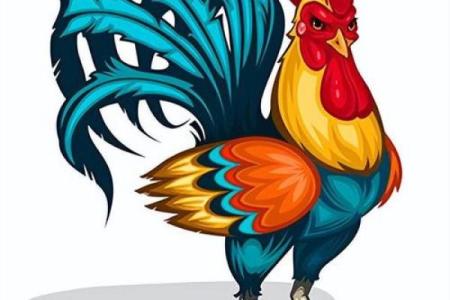 揭秘2017年鸡年命理：你的命运与鸡的关系！
