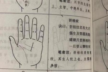 解析手指纹路，揭示人生命运的秘密