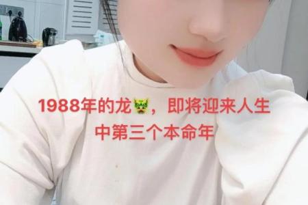 1988年：属龙之年，探秘龙命的性格与命运