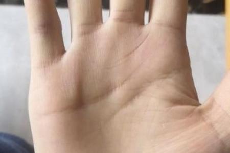 女人手粗短是什么命？探讨手相与命运的关系