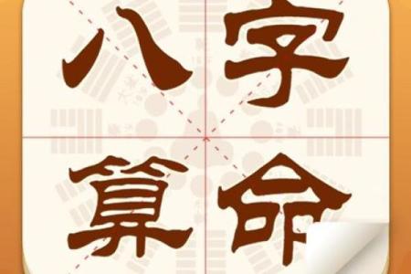 解析乙巳年出生者的命理特征与人生运势